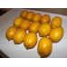 14 Lot Lemons Artificial Faux Fake Decorative Imitation Plastic Lifelike    123311625977